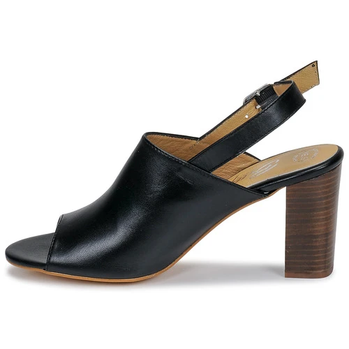 Chaussures Femme Sandales et Nu-pieds Betty London JIKOTEGE Noir – Image 4