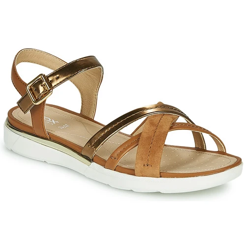 Chaussures Femme Sandales et Nu-pieds Geox D SANDAL HIVER Doré / Marron