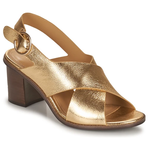 Chaussures Femme Sandales et Nu-pieds Minelli THIVIYA Doré