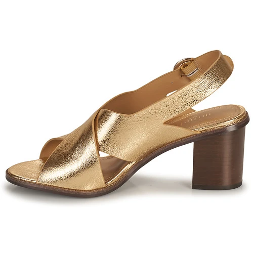 Chaussures Femme Sandales et Nu-pieds Minelli THIVIYA Doré – Image 4