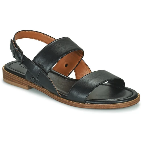 Chaussures Femme Sandales et Nu-pieds Esprit Noir